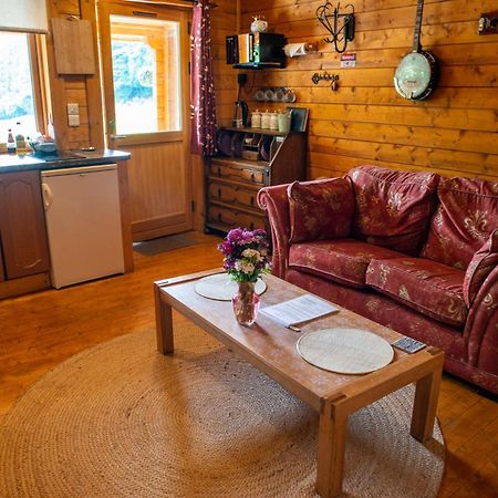 Blossom Cabin - Little Log Cabin In Wales Newtown  Exterior foto