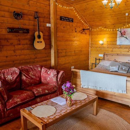 Blossom Cabin - Little Log Cabin In Wales Newtown  Exterior foto