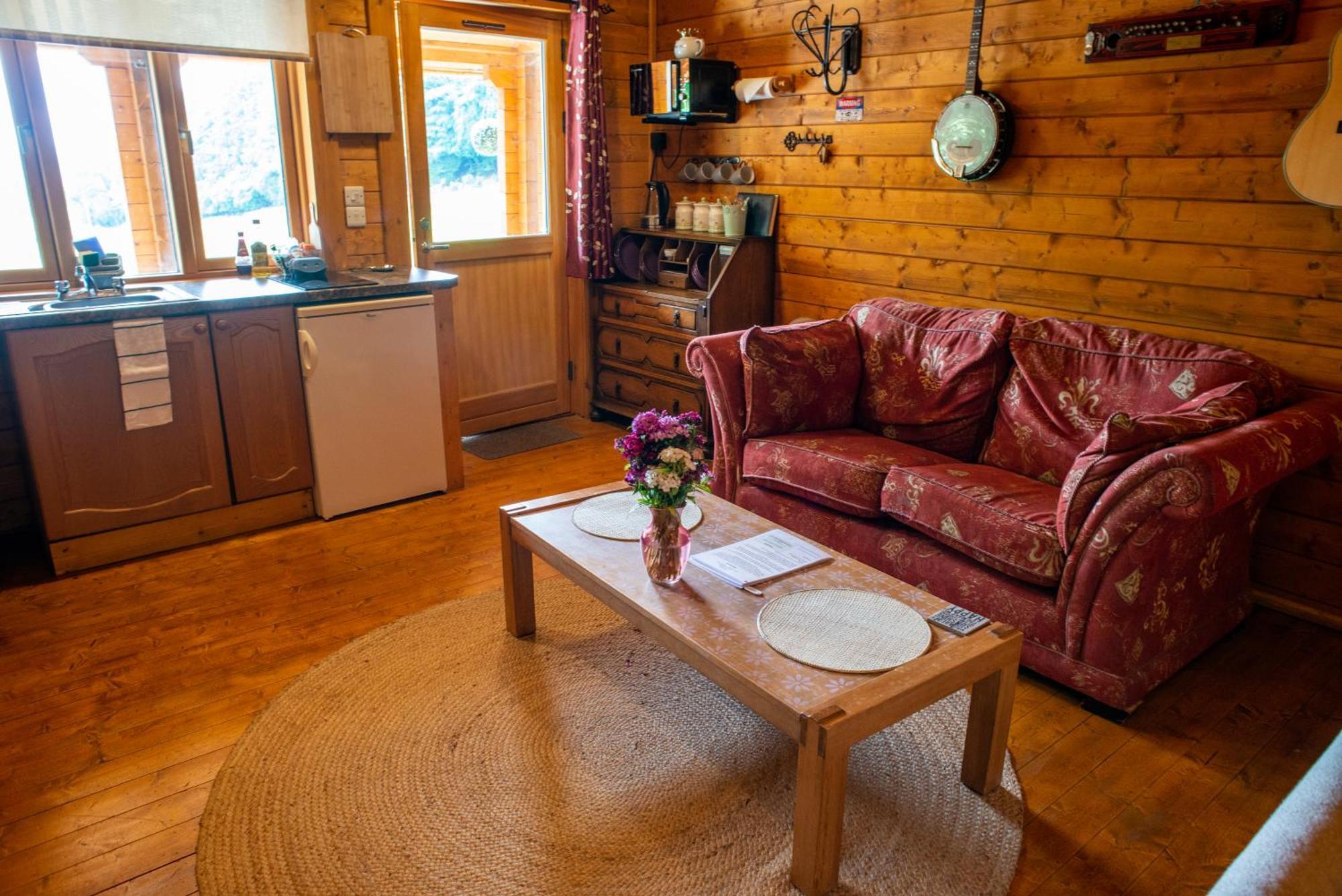 Blossom Cabin - Little Log Cabin In Wales Newtown  Exterior foto