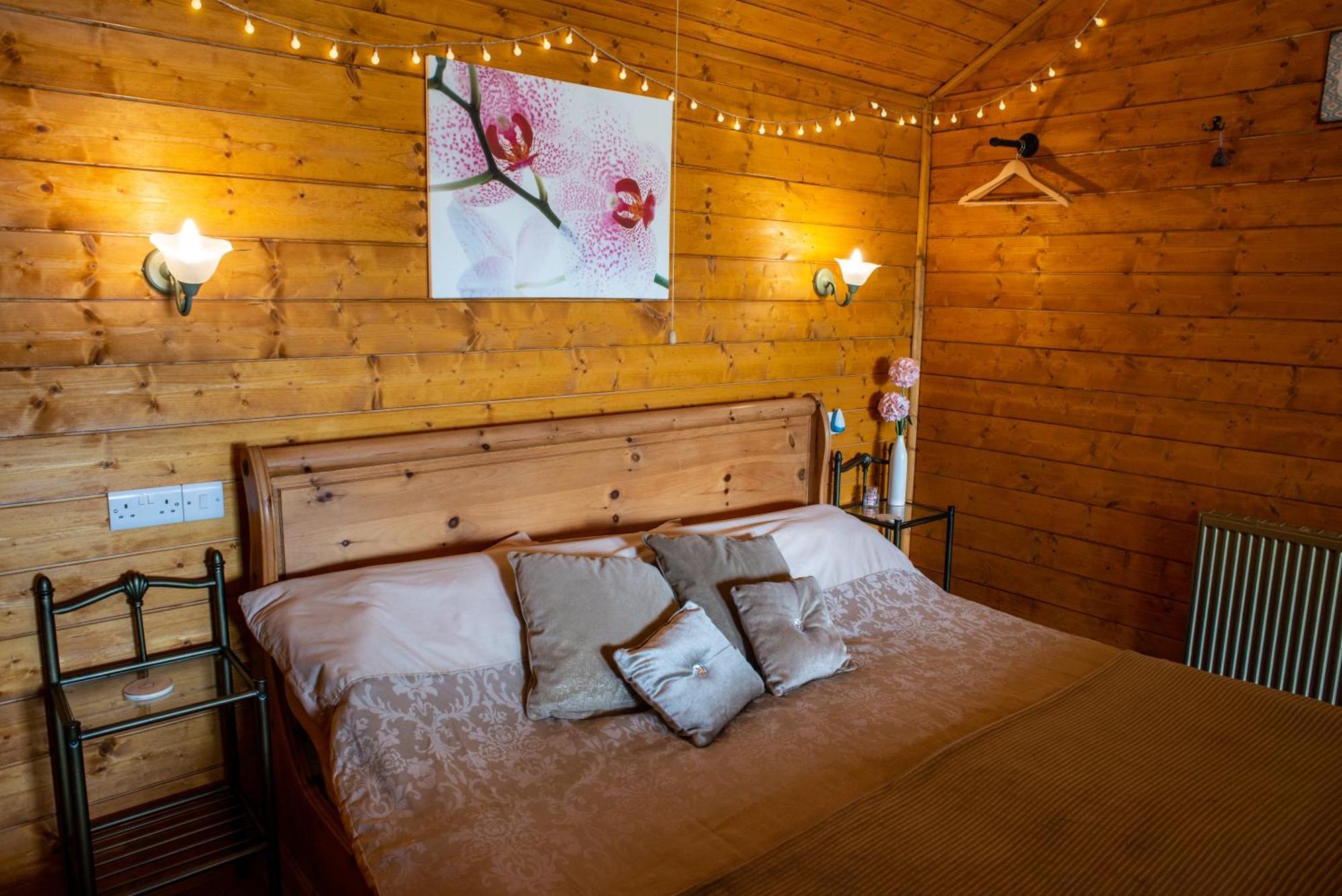 Blossom Cabin - Little Log Cabin In Wales Newtown  Exterior foto