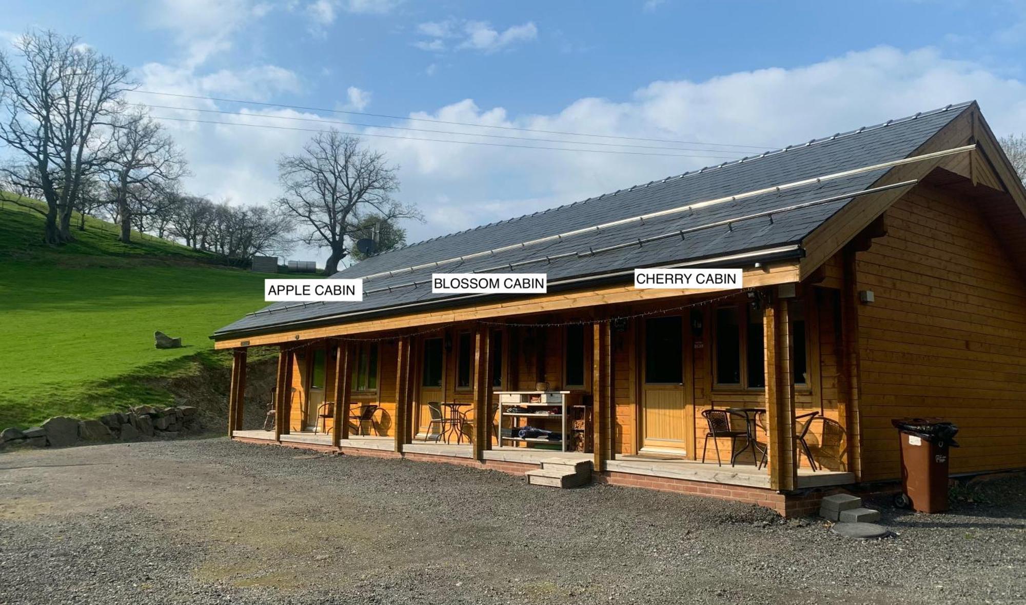 Blossom Cabin - Little Log Cabin In Wales Newtown  Exterior foto